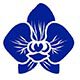 Blue Orchid Corporation Ltd
